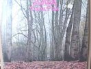 TWINK - THINK PINK - rare Polydor original with insert