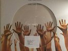 LUCIO BATTISTI : IL MIO CANTO LIBERO (PICT. DISC.)