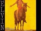 Melvins Lysol LP sunn jesus lizard 