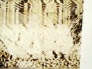 autechre Incunabula 2lp gatefold Vinyl warp IDM