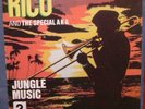 RICO & SPECIAL AKA - JUNGLE MUSIC 12