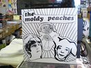 Moldy Peaches S/T vinyl LP kimya dawson rough trade NM