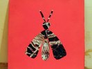 ANIMAL COLLECTIVE Hollindagain LP ORIG HANDMADE COVERS
