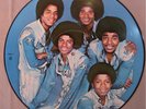 Michael Jackson - The Jacksons - Rare Picture Disc Mint