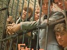 YARDBIRDS FIVE LIVE ORIGINAL1964 BLUE COLUMBIA