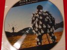 PINK FLOYD Delicate Sound Thunder Picture Disc BRAZIL