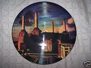 Pink Floyd Animals Picture Disc Dutch Edition