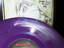 DINOSAUR JR you're living all over me LP LTD PURPLE