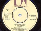 GYPPO High Rise Love  UK punk 7