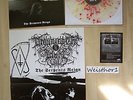 Drowning the Light - The Serpents Reign LP