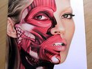 DAMIEN HIRST KATE MOSS 25/666 USE MONEY CHEAT DEATH 12