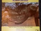 Howard Blake An Elephant Called Slowly OST LP Rare