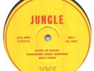 JUNGLE SELF TITLED PRIVATE PRESS PSYCH ORIGINAL LP 1969