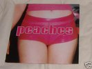 Peaches - The Teaches of Peaches - 2 x LP - 2000
