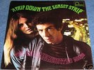 THE LEATHERCOATED MINDS A Trip Down the Sunset Strip EX