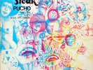 Pucho & the Latin Soul Brothers - Super Freak on Zanzee