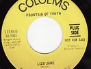 FOUNTAIN OF YOUTH Witness People 1969 GARAGE PSYCH HEAR