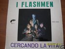 I FLASHMEN