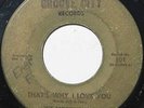 Detroit Northern Soul 45 - PROFESSIONALS - GROOVE CITY
