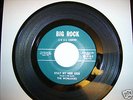 1960's Garage Band The Worlocks Record Never Played