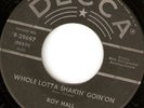 UNFINDABLE  ROY HALL 45 RPM WHOLE LOTTA SHAKIN' GOIN'ON