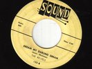 Re-Vels-Sound-Dream My Darling Dream-Doo Wop
