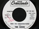 Rare THE SEEDS TRY TO UNDERSTAND/THE OTHER PLACE PROMO