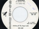 Anthony/Aqua Lads-I Remember-NM Gold Bee Soul 45-Listen