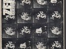 ZEN GUERRILLA vamp 7