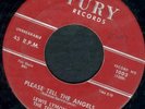 THE TEENCHORDS DOO WOP 45 ON ORIGINAL FURY MAROON