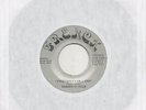 GARDEN OF EDEN on FRENCH modern soul 45 *RARE* listen