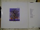 TALK TALK Spirit of Eden ORIG VINYL LP PARLOPHONE