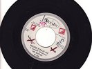 BEATLES Please Please Me VJ 498 Promo BeaTTles 45