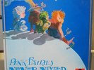 UK PSYCH Pink Fairies NEVER NEVER LAND UK  A1/B1 Matrix