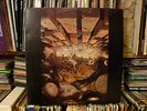 ALGARNAS TRADGARD Framtiden LP Swedish prog folk psych