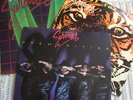 SURVIVOR     THREE RECORD DEAL    VINYL  LP'S  33 rpm