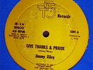 Jimmy Riley - Give Thanks & Praise, vinyl 12