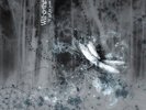 WILL-O-THE WISP - A GIFT FOR YOU DREAMS - MUST HAVE