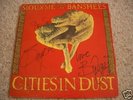 SIOUXSIE & THE BANSHEES - Cities In Dust 12