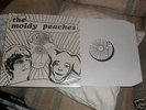 Moldy Peaches LP - Adam Green Kimya Dawson - Very Rare