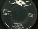 Latin Breed 45 
