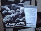 A BLAZE COLOUR: (7