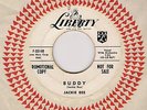 Rare Rockabilly Promo 45 Jackie Dee Buddy Liberty 1958