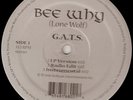 Bee Why GATS Crazy Queens 12