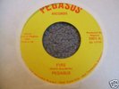 Garage/Psych Freakbeat 45 Pegasus-Fire RARE   HEAR