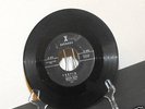 The Beach Boys Surfin/Luau Rare X 45-301(Surf & Garage)