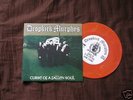 DROPKICK MURPHYS Curse of a Fallen Soul 7
