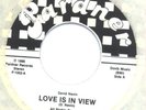 DAVID NEVIN MODERN SOUL LOVE IS IN VIEW PARDNER RECORDS