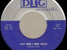 R&B /NORTHERN SOUL- SAILOR BOY- DIG RECORDS- LISTEN