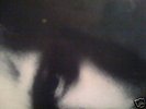 SECRET MONSTER SOUL FUNK CHILL LP LOOPS SAMPLE HEAR